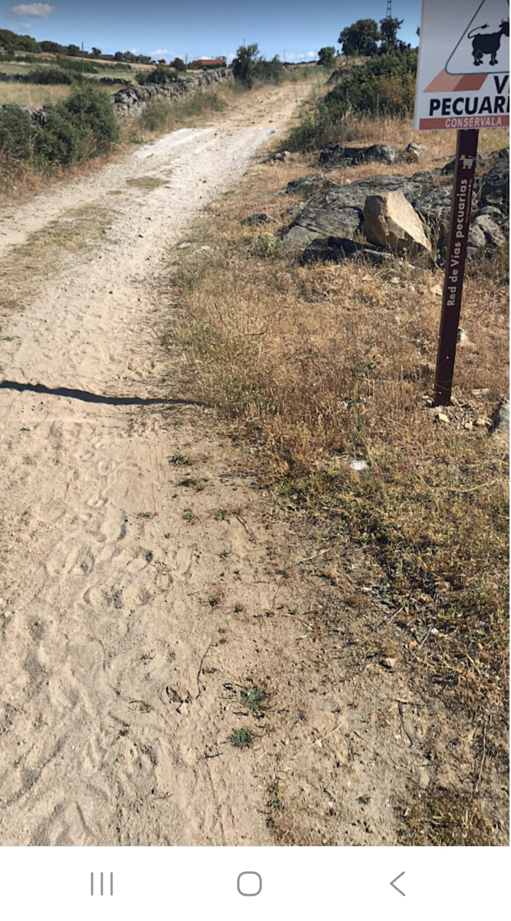 Afectad@s por la Vía Pecuaria «El Camino» de El Vellón y Pedrezuela en Los Mundos de Utopía